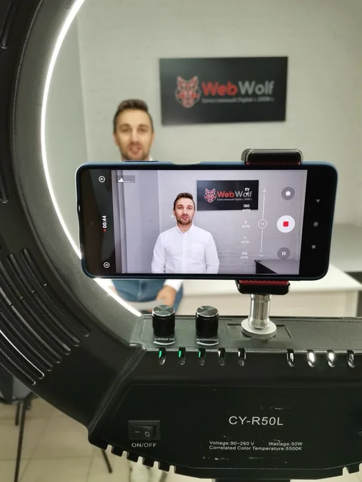 Web-Wolf, рабочие будни